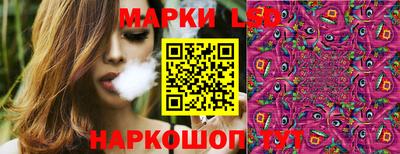 mdpv Гатчина