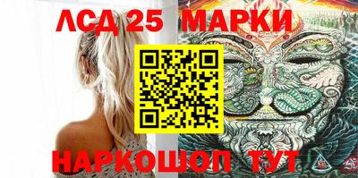 mdpv Гатчина