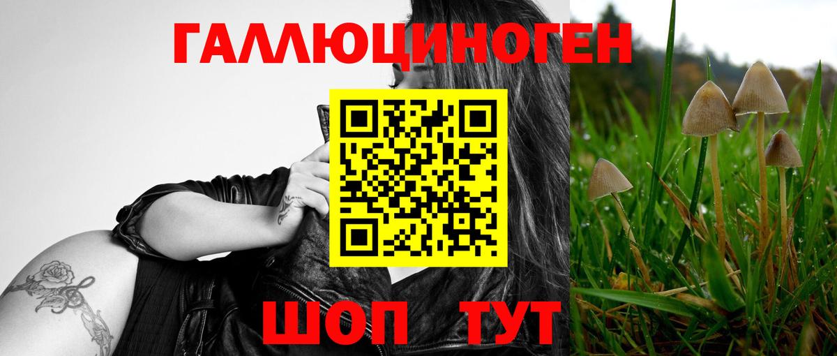 дарнет шоп  Вход с VPN  Пугачёв  Галлюциногенные грибы MAGIC MUSHROOMS 